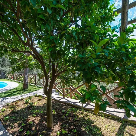 Le Contrade By Sosore Homes -amalfi Coast Furore